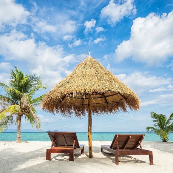 GOOD AMERICAN Scuba One Shoulder High Cut Thigh One Piece Swimsuit Blk SZ 1 NWT - Picture 9 of 9